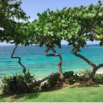 Possibly Better Than Ever…