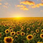 #1 Best Way to Get What You Want