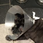 Are you paying attention? This is a really important characteristic to maintain every day.