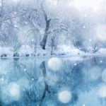 How You Can Stop Dreading Going Home for The Holidays
