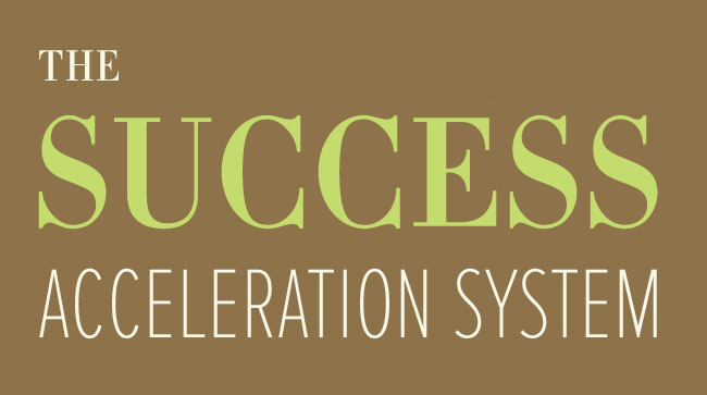 Success Acceleration System