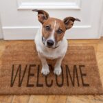 Is It Time For You To Stop Being A Door Mat In Your Business In This Way?