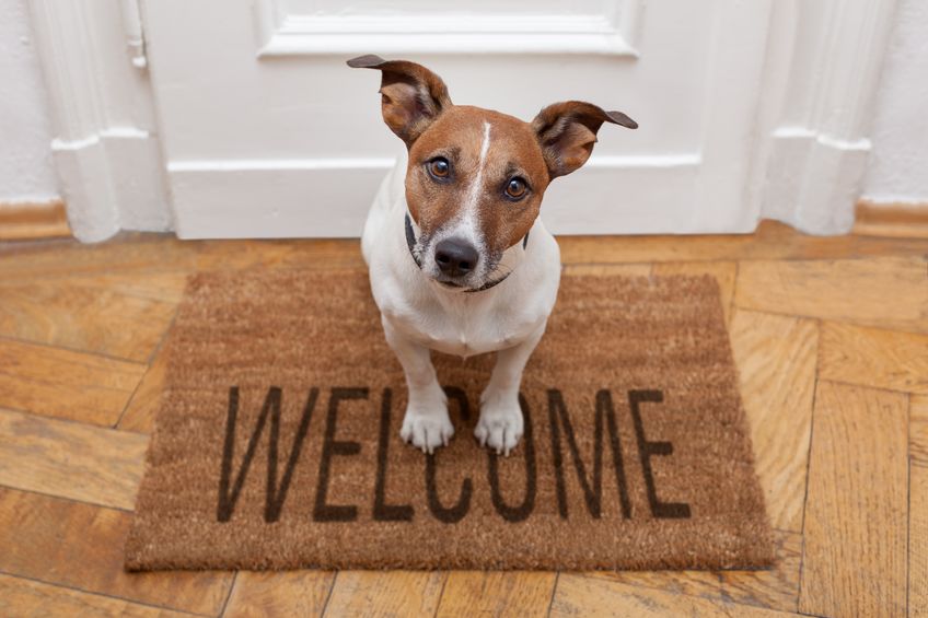 Is It Time For You To Stop Being A Door Mat In Your Business In This Way?